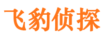 平安市侦探调查公司